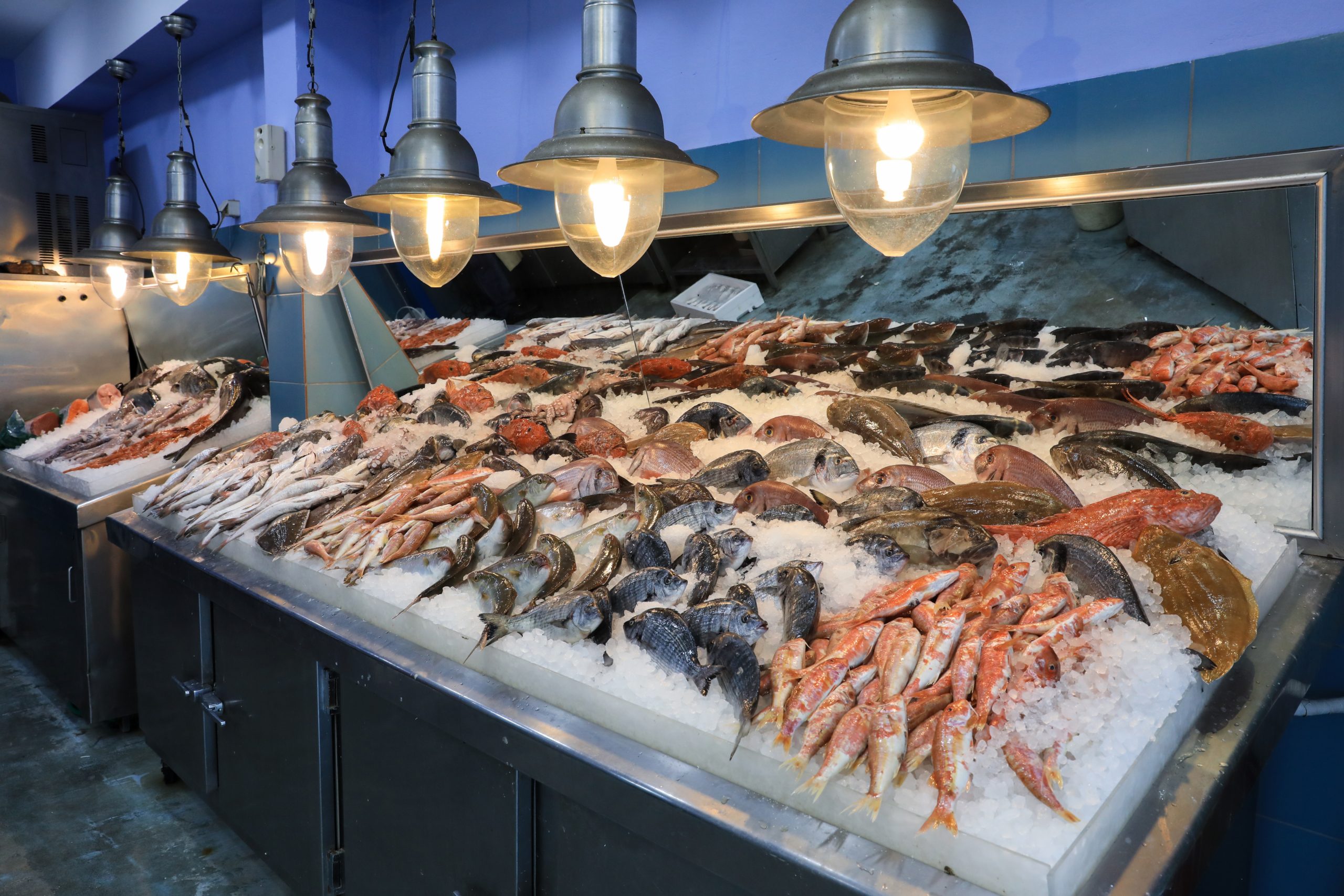 Display of frozen seafood over ice